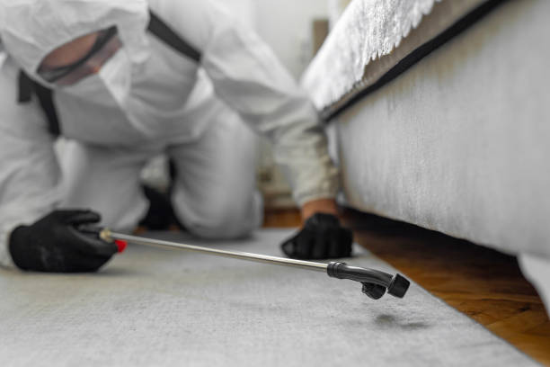 Professional Bed Bug Control technician working in Logan County County, CO